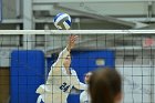 VB vs Plymouth St  Wheaton Women’s Volleyball vs Plymouth St. - Photo by Keith Nordstrom